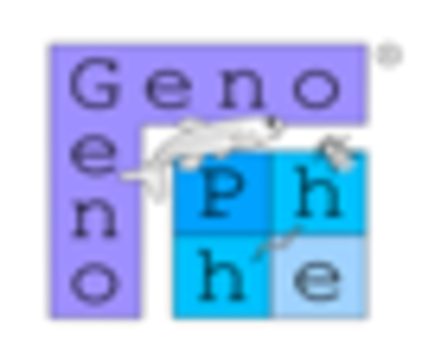 GENOPHE BIOTECH PRIVATE LIMITED